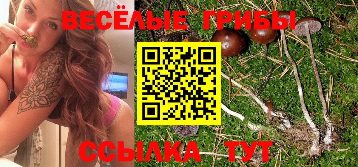 Псилоцибиновые грибы Magic Shrooms  Вход с VPN  Псилоцибиновые грибы Cubensis  Коммунар 