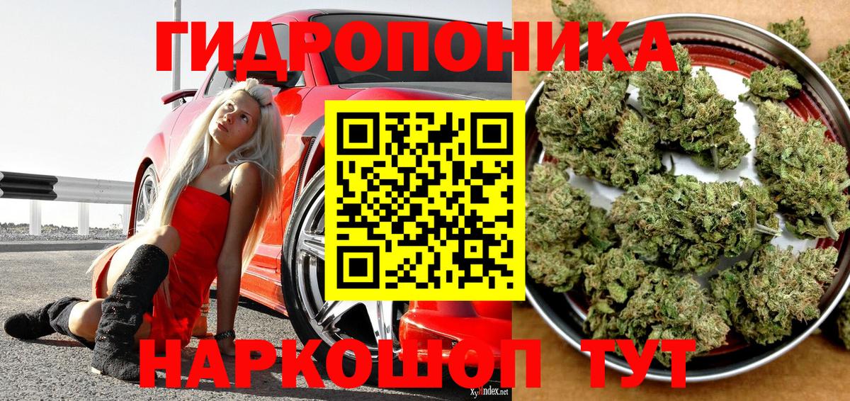 МАРИХУАНА AK-47  Каннабис план  Вход с VPN  Конопля SATIVA & INDICA  Коммунар 